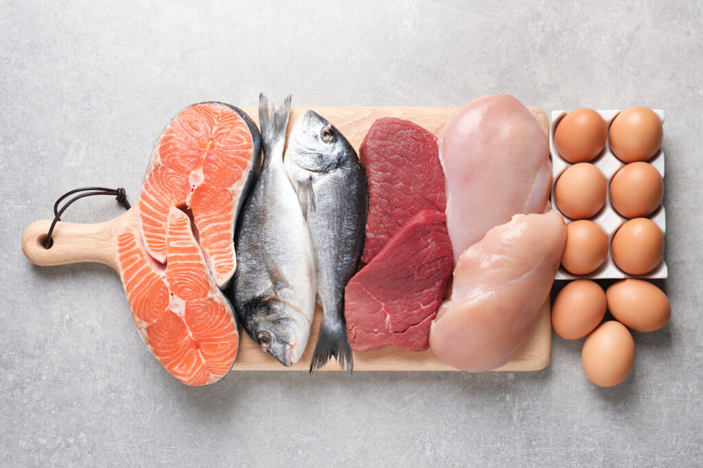 High-Quality Protein: What is it and Why is it Important?